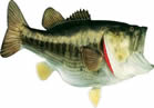 wall mount fish repleca